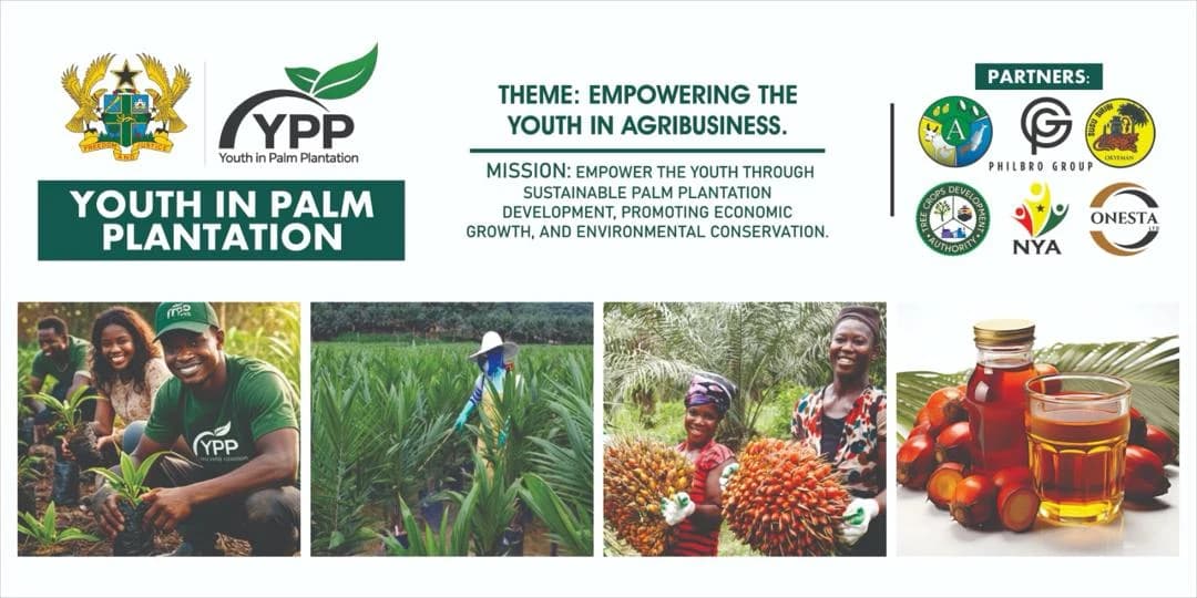 Youth in Palm Plantation programme flyer — theme 'Empowering the Youth in Agribusiness', mission statement and partner logos